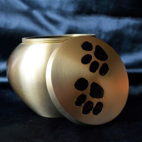 A golden urn with a paw print design on its lid sits on a dark surface with a dark blue velvet cloth in the background.